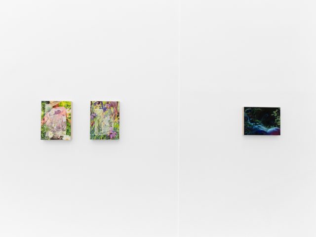 Colorful artworks on a bright white gallery wall in neutral lighting.
