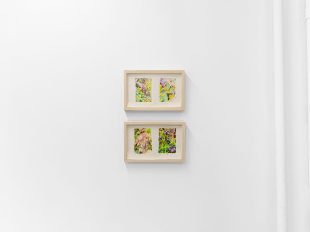 Colorful artworks on a bright white gallery wall in neutral lighting.
