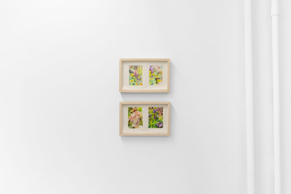 Colorful artworks on a bright white gallery wall in neutral lighting.