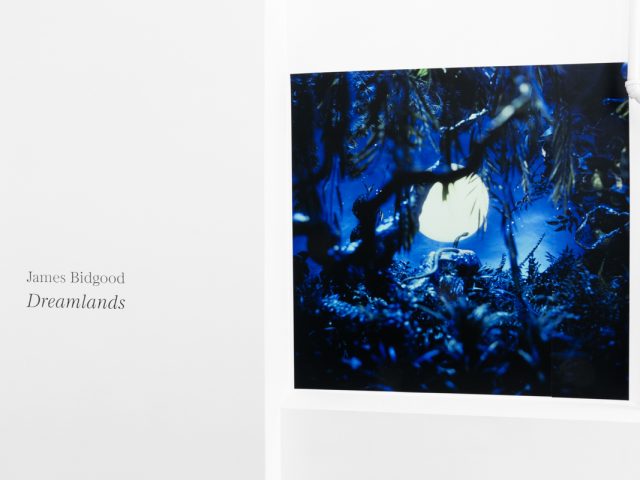 Brightly lit gallery with colorful, surreal portraits in white frames displayed along stark white walls.