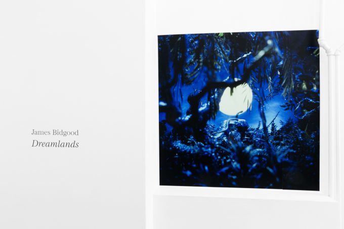 Brightly lit gallery with colorful, surreal portraits in white frames displayed along stark white walls.