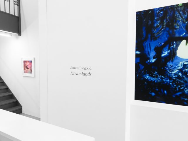Brightly lit gallery with colorful, surreal portraits in white frames displayed along stark white walls.