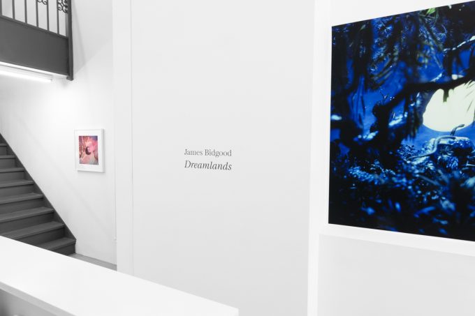 Brightly lit gallery with colorful, surreal portraits in white frames displayed along stark white walls.