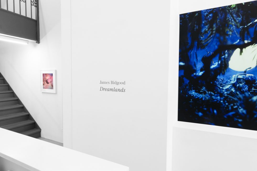 Brightly lit gallery with colorful, surreal portraits in white frames displayed along stark white walls.