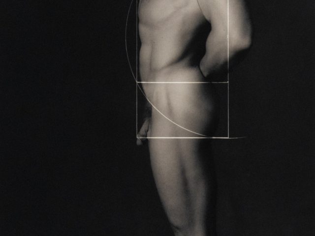 Nude male torso in profile with overlaid geometric shapes referencing the golden ratio, emphasizing classical proportions and idealized form.