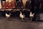 Three Roosters, New York