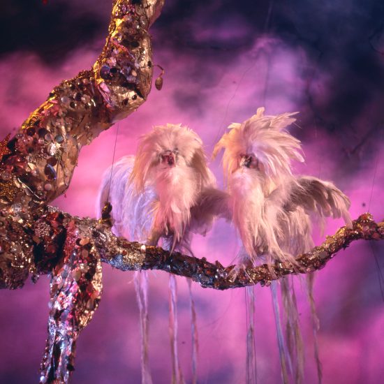 Two white, shaggy, long-tailed creatures resembling birds with long beards sit on a glittery branch against a pink, smoky background.
