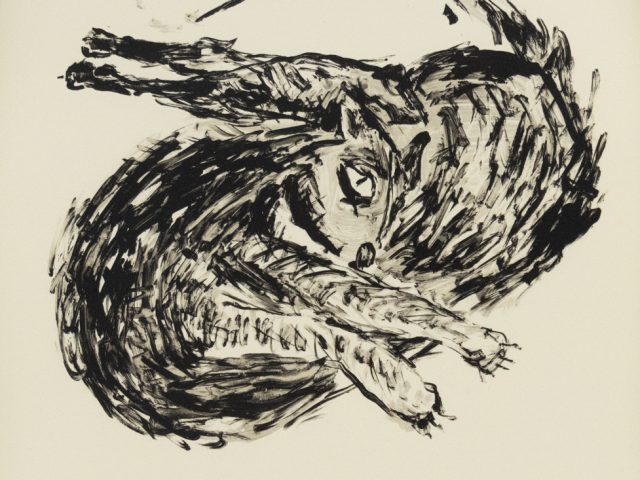Expressive black brushstrokes depict a curled, twisted cat with exaggerated limbs and intense gaze on a cream background.