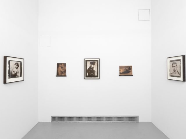 Contemporary artworks displayed along stark white bright gallery walls.