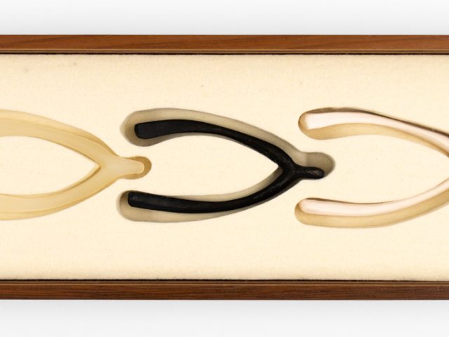 A wooden box with three wishbone shaped objects inside it.