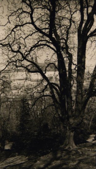 A black and white image of a European cityscape seen through trees.
