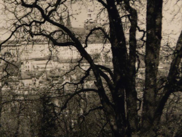 A black and white image of a European cityscape seen through trees.