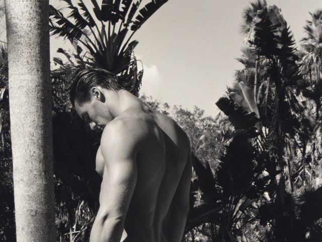 A shirtless man with his back to the viewer stands in a body of water amidst tropical foliage.