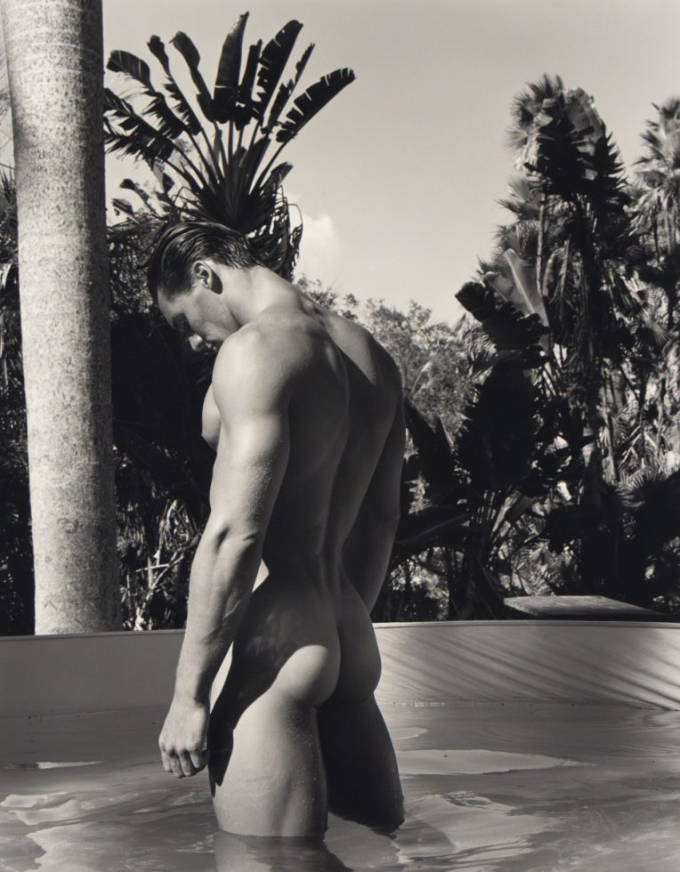 A shirtless man with his back to the viewer stands in a body of water amidst tropical foliage.