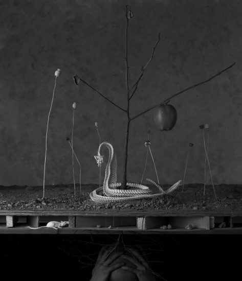 A surreal black and white photograph depicting a complex, multi-layered scene including a snake and an apple.