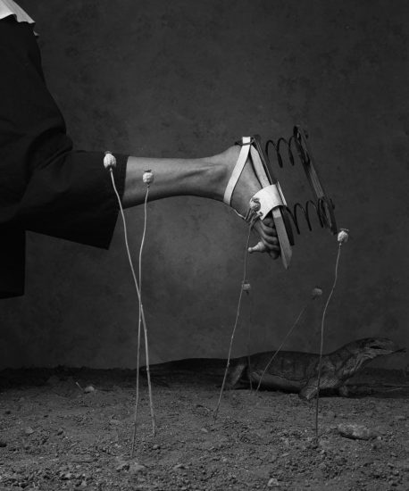 A surreal B&W photo of a leg with a spring shoe, a lizard, and dried flowers on the ground, creating a strange juxtaposition.