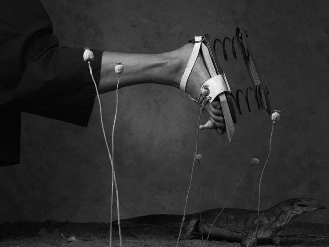 A surreal B&W photo of a leg with a spring shoe, a lizard, and dried flowers on the ground, creating a strange juxtaposition.