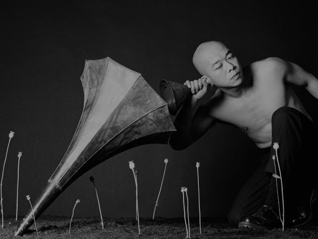 A surreal, black-and-white image of a bald man kneeling, listening to a large gramophone horn with a smaller horn, surrounded by dried poppy pods.