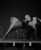 A bald man kneels, listening to dried poppy pods through an old gramophone horn.