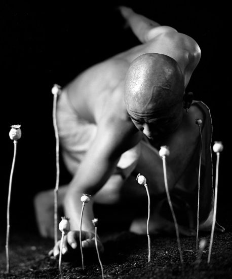 A person with a shaved head and bare torso crouches on the ground, reaching towards several tall, dried poppy pods in a surreal, high-contrast, black-and-white image.