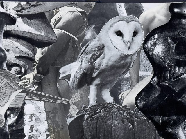 A black and white surrealist collage of an owl at the center, surrounded by fragmented human figures, hands, and mechanical parts.