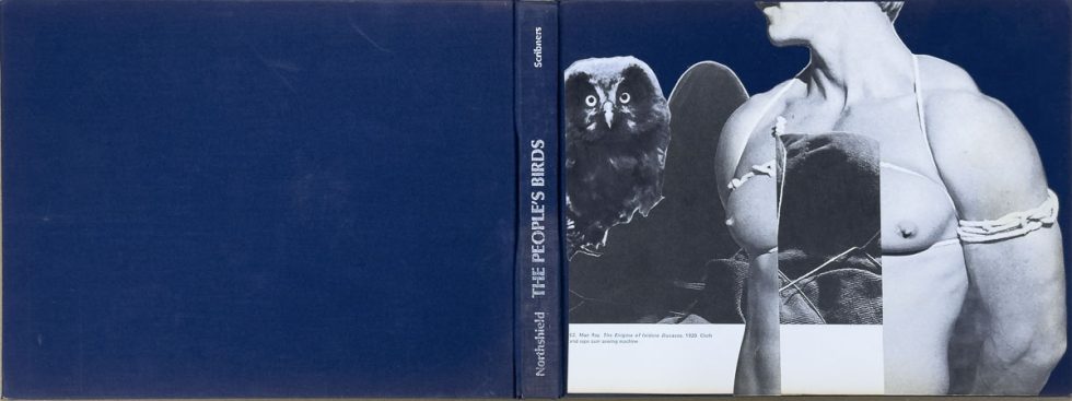 Collaged book cover with layered cutouts, blending figures, objects, and abstract fragments into unexpected juxtapositions.