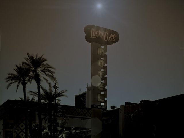 A moody photograph of a motel sign amongst palm trees in sunshine.