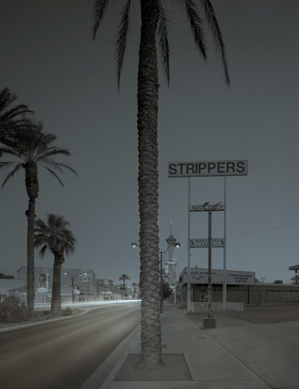 A photograph of palm trees and a big stripper sign.