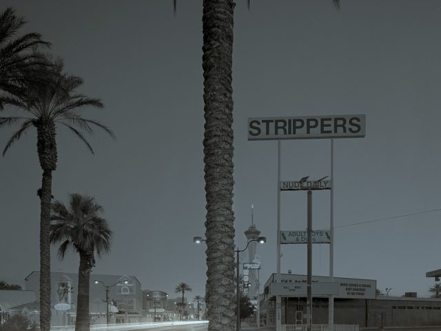 A photograph of palm trees and a big stripper sign.