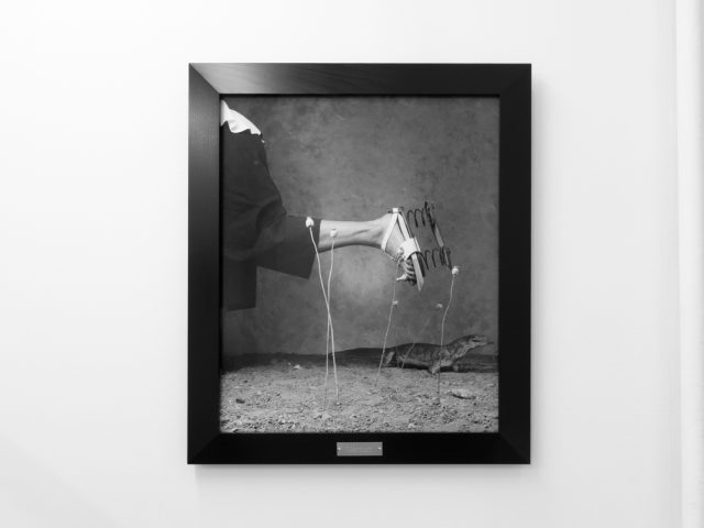 A photograph of black and white photographs in black frames hanging in a contemporary gallery setting.