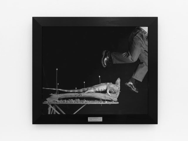 A photograph of black and white photographs in black frames hanging in a contemporary gallery setting.