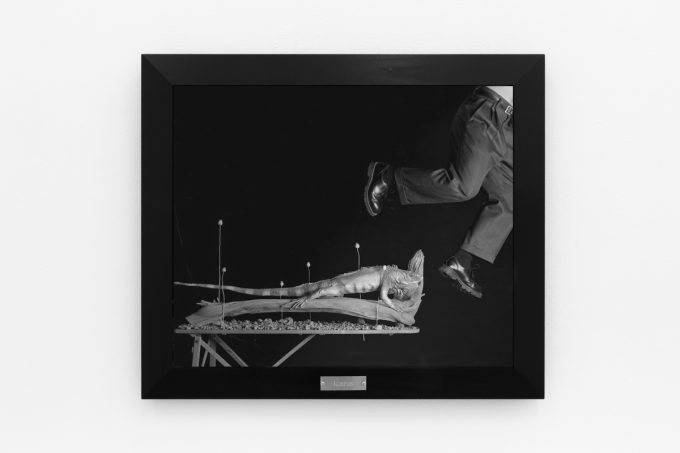 A photograph of black and white photographs in black frames hanging in a contemporary gallery setting.