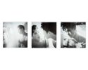 David, A Walt Whitman Fan, Golden Beach, FL (triptych)