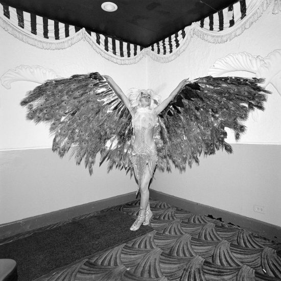 A black and white photograph of a women in a cabaret outfit with large wings.
