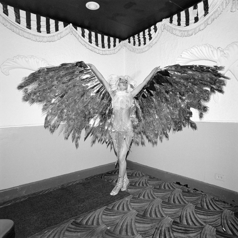 A black and white photograph of a women in a cabaret outfit with large wings.