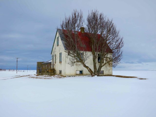 A photograph of a tree growing up around a house.