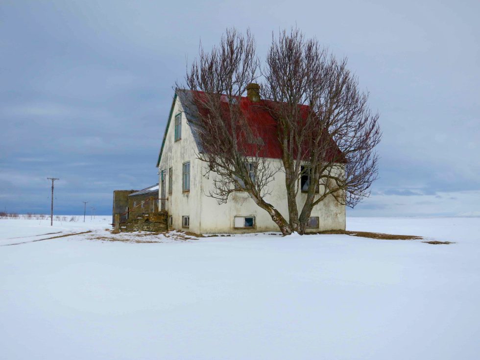 A photograph of a tree growing up around a house.
