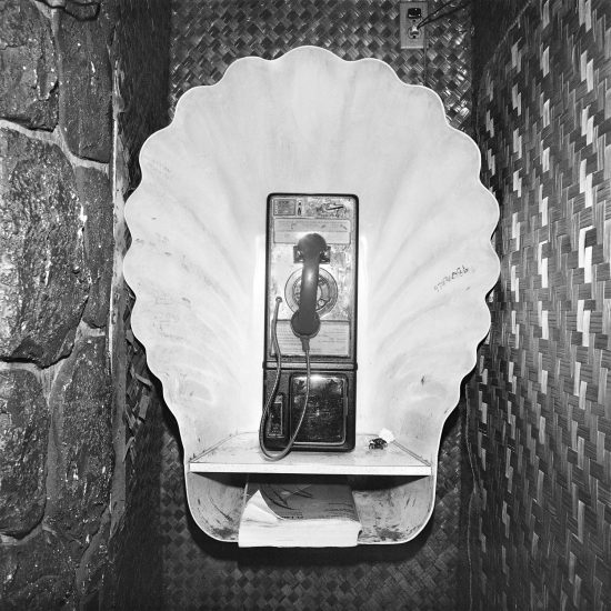 A telephone booth shaped like a large seashell.