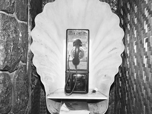 A telephone booth shaped like a large seashell.