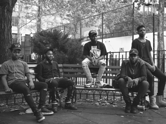 A black and white picture of a bunch of buds on a park bench.