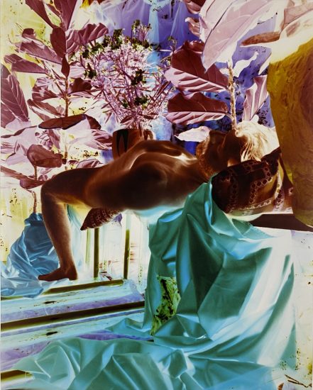 A colorful photograph of a man lounging amongst plants.