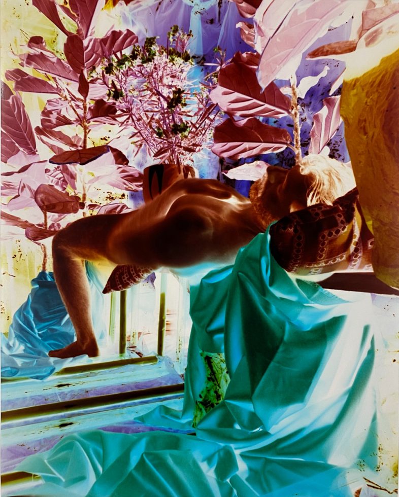 A colorful photograph of a man lounging amongst plants.