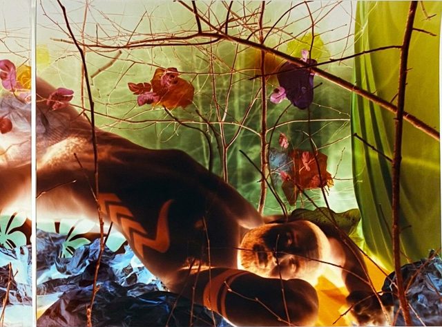 An intense colorful image of a man reclining in the nude among intricate set design.