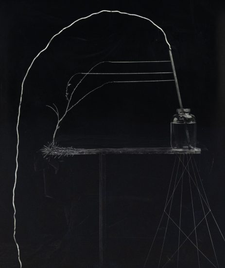 A black and white photograph of a mason jar on a table with a long branch growing out of it.
