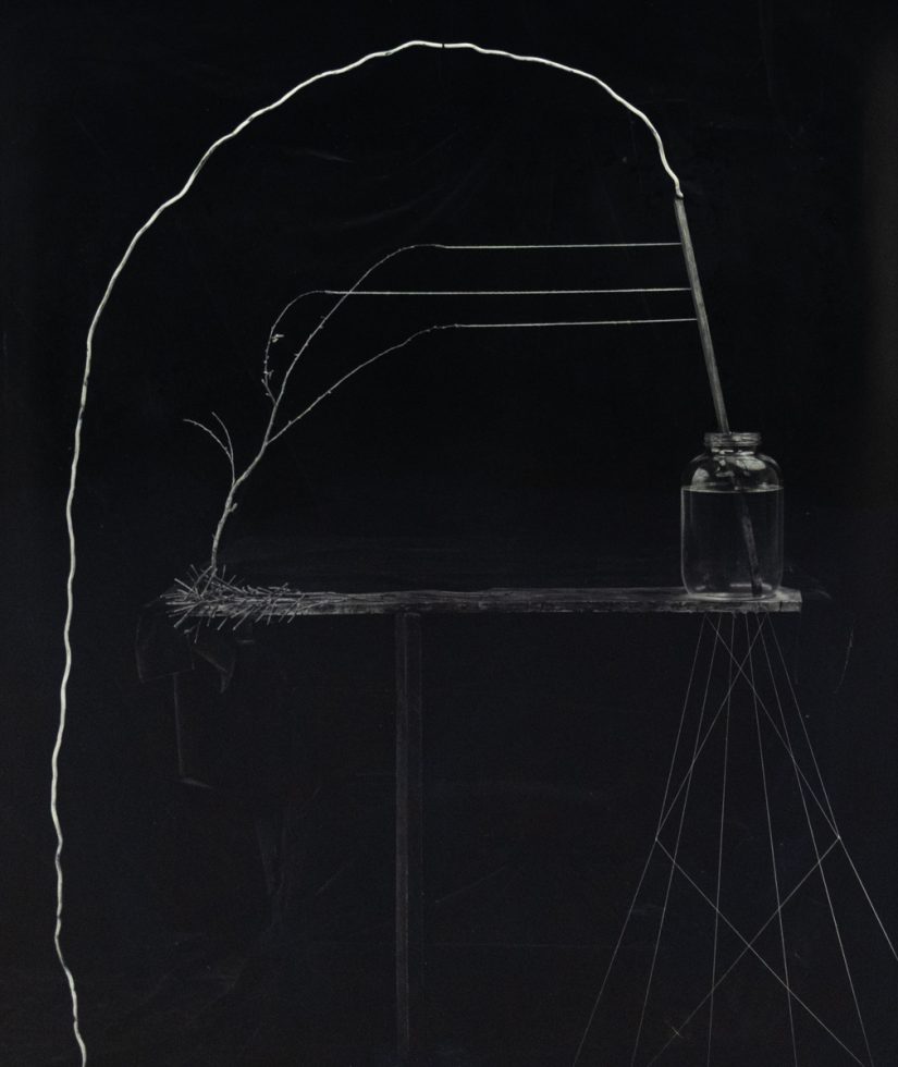 A black and white photograph of a mason jar on a table with a long branch growing out of it.