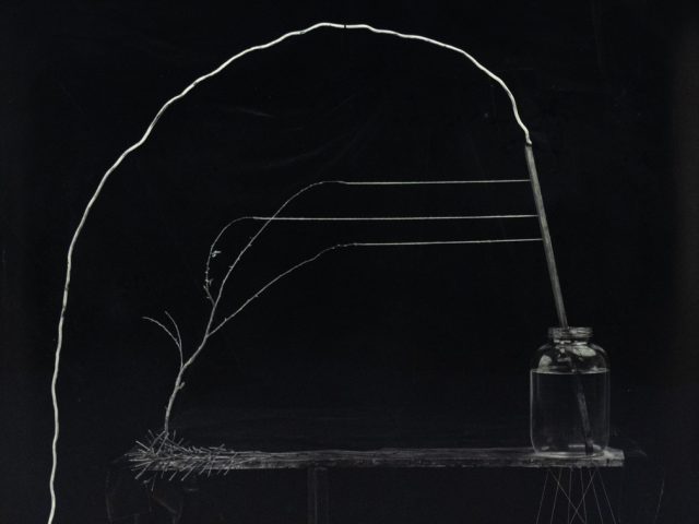 A black and white photograph of a mason jar on a table with a long branch growing out of it.