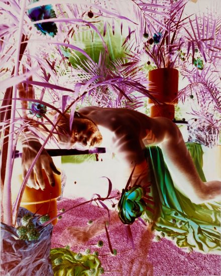 A colorful image of a nude man lounging amongst a variety of palms and plants.