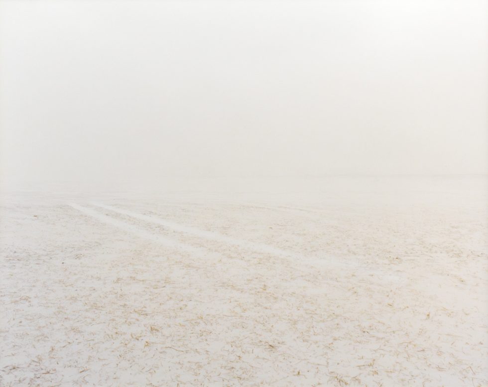 A photograph of snow in a field.