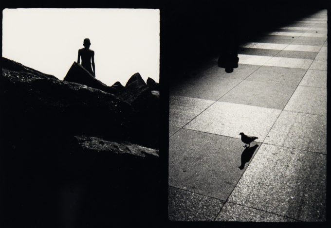 A black and white diptych of a boy among rocks and a bird in a street.