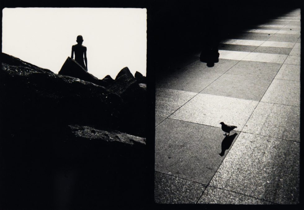 A black and white diptych of a boy among rocks and a bird in a street.